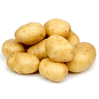   土豆马铃薯
